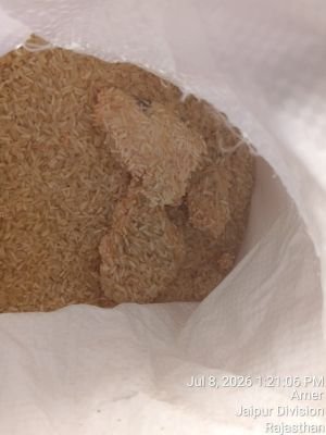 Damaged Stock of Rice, Sabudana and Salt